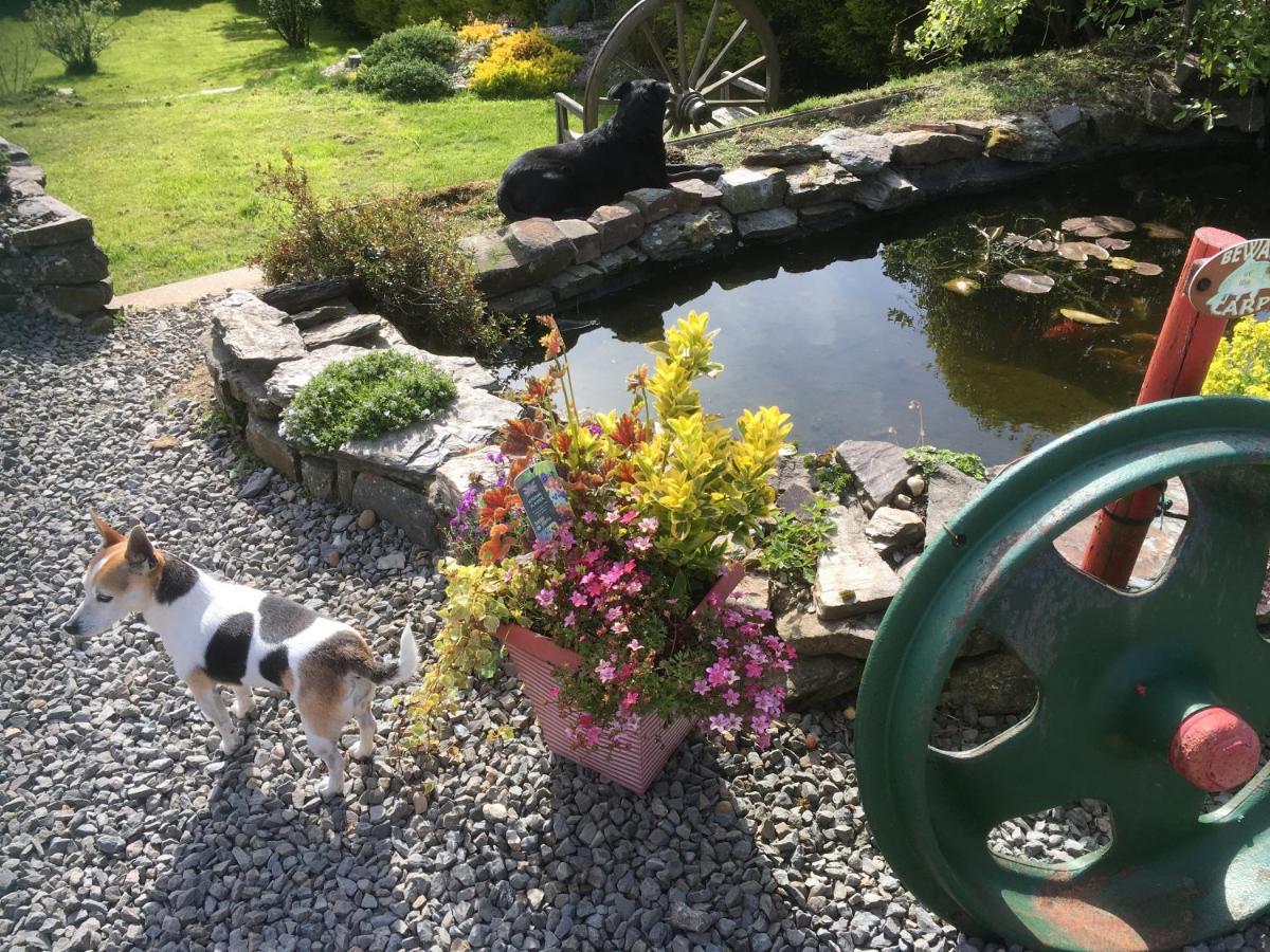 Stoke House Bed And Breakfast Stoke Rivers Exterior foto