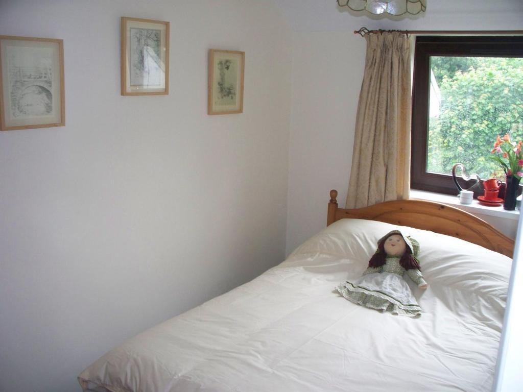 Stoke House Bed And Breakfast Stoke Rivers Quarto foto